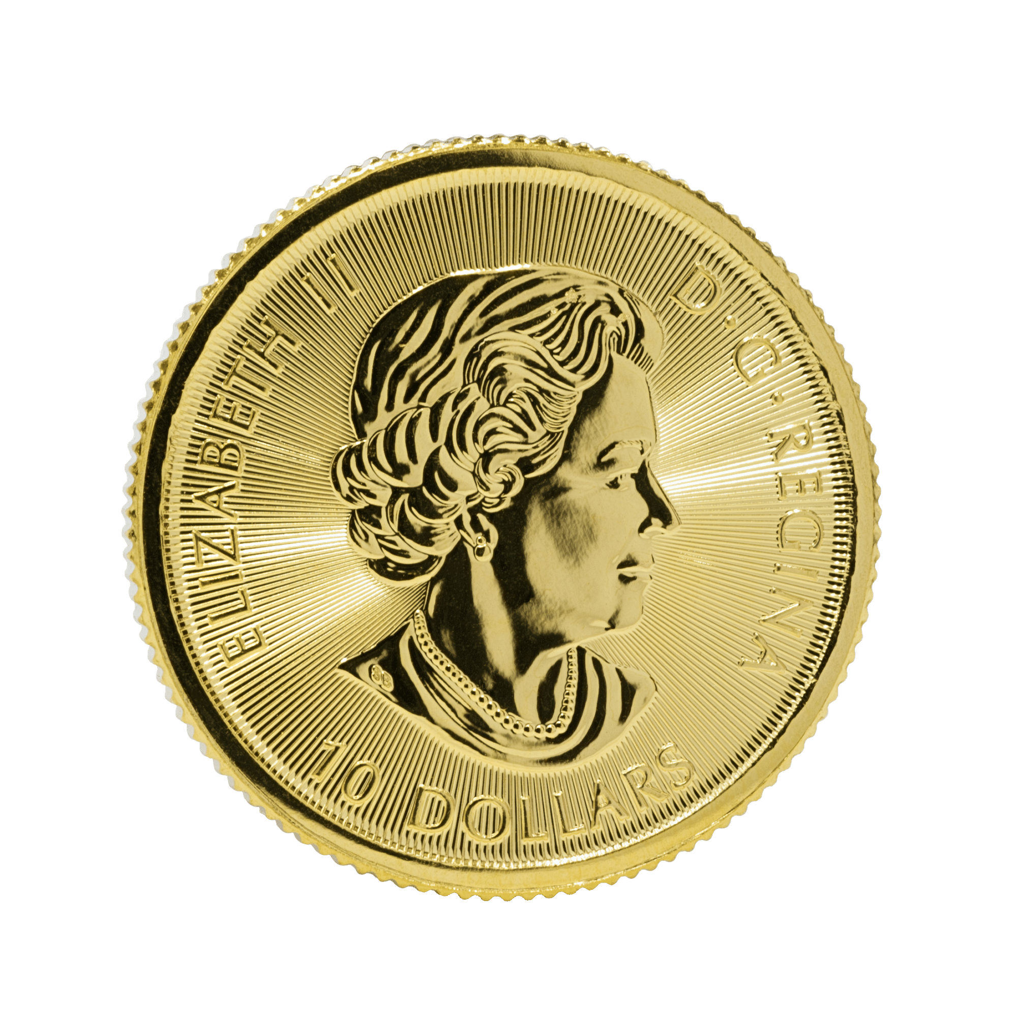 Gold Canadian Gyrfalcon Coin - 1/4 Ounce