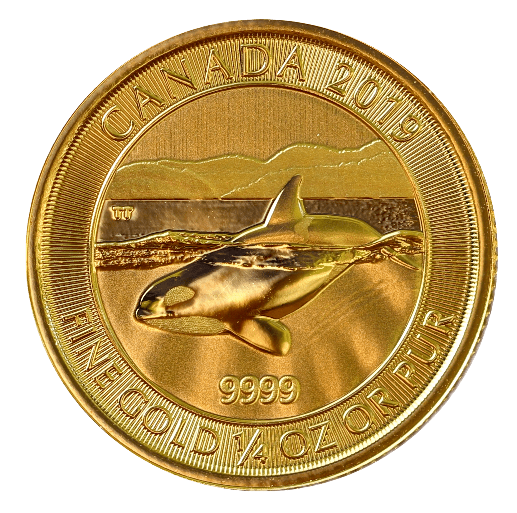 Gold Canadian Orca 1/4 Ounce Coin
