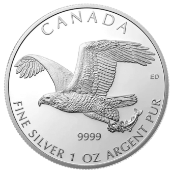 Silver Canadian Red-Tailed Hawk 1 oz. 2015 Gem/BU